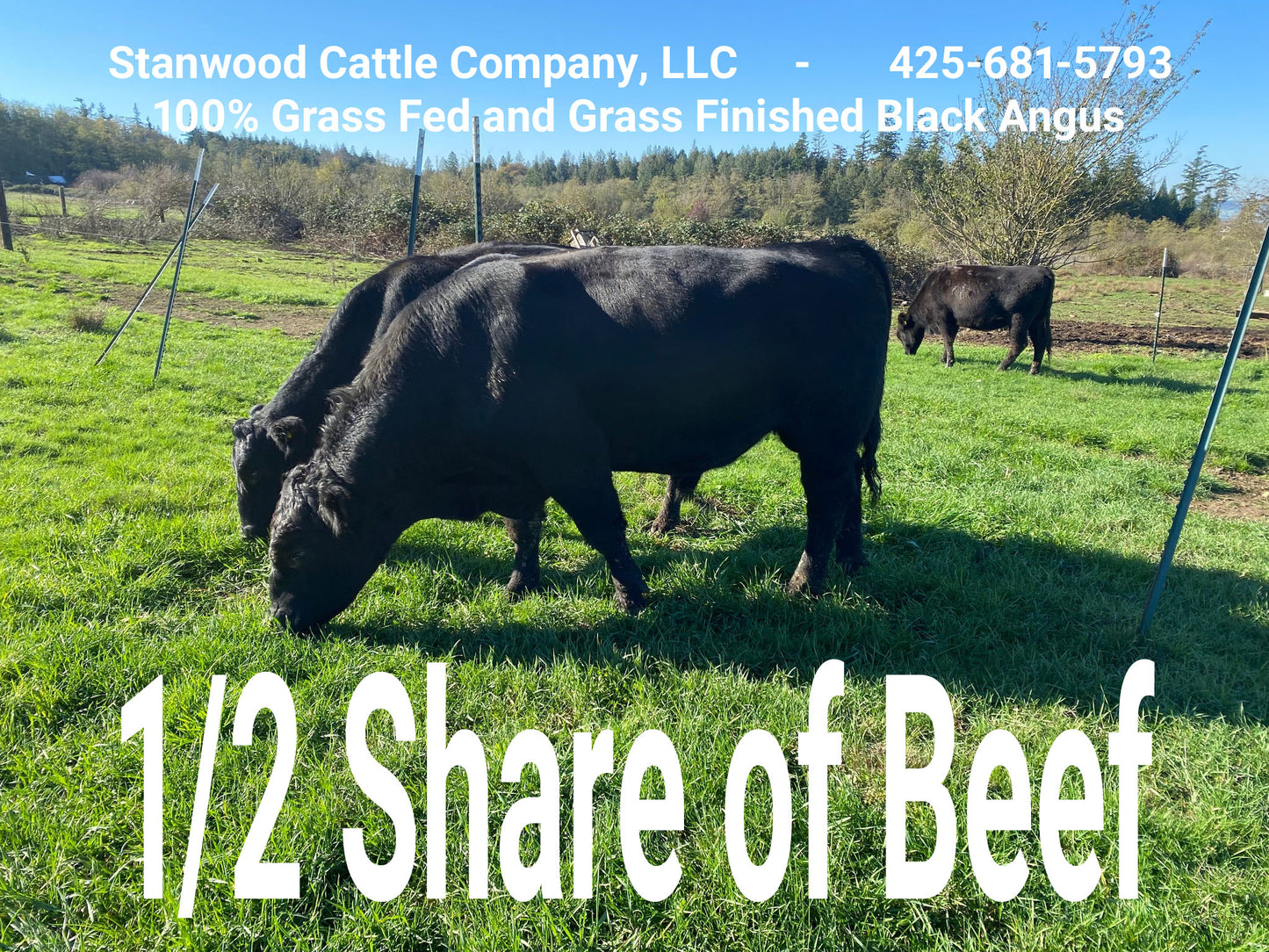 1/2 Beef - Non Refundable - DEPOSIT