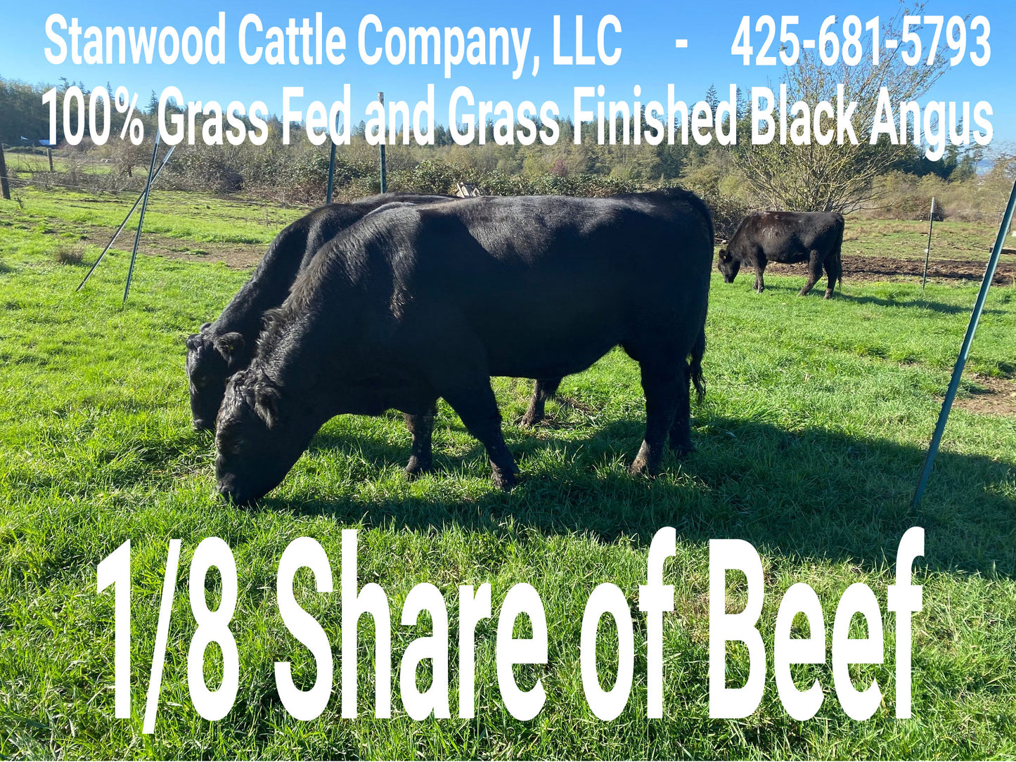 1/8 Beef - Non Refundable - DEPOSIT