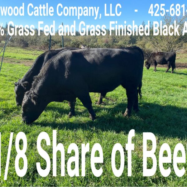 1/8 Beef - Non Refundable - DEPOSIT